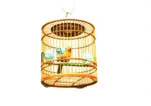 �e�ˣ������f��