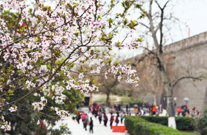 �h(hu��n)�ǹ��@��ęѻ������_�ţ��������������^����