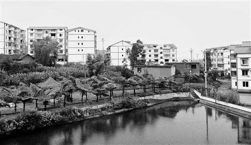 (zhn)m@r(nng)¾ӛ