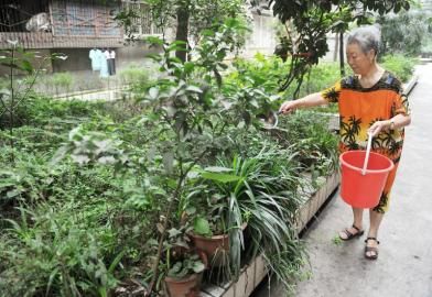 6��27����ͬ�Ƙ�M��8̖Ժ���S�����ڽoԺ��ֲ�ˮ��